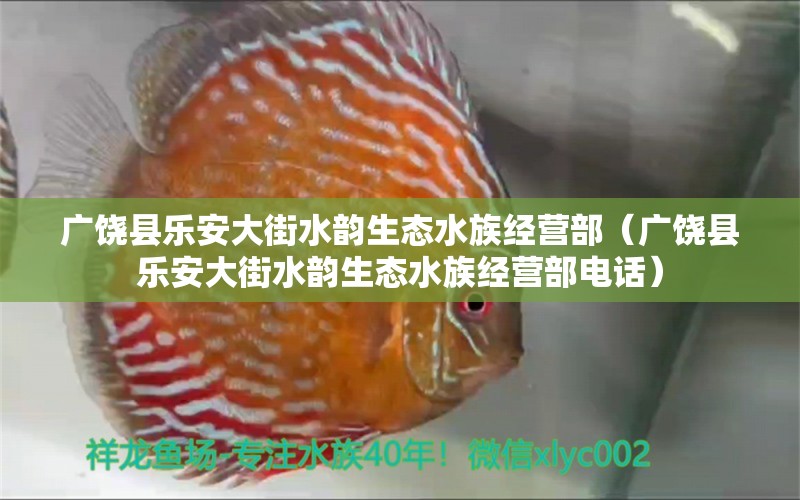 廣饒縣樂安大街水韻生態(tài)水族經(jīng)營部（廣饒縣樂安大街水韻生態(tài)水族經(jīng)營部電話）