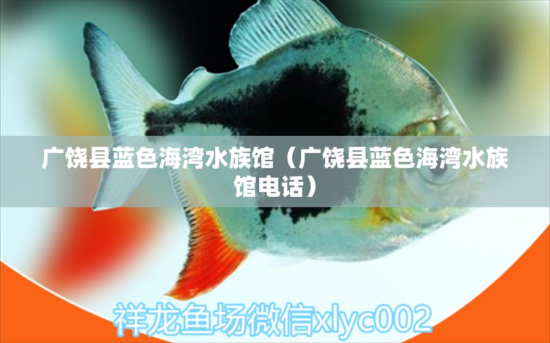 廣饒縣藍(lán)色海灣水族館（廣饒縣藍(lán)色海灣水族館電話） 全國(guó)水族館企業(yè)名錄