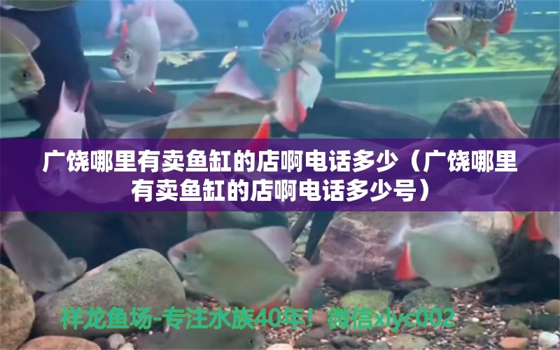 廣饒哪里有賣魚缸的店啊電話多少（廣饒哪里有賣魚缸的店啊電話多少號(hào)）