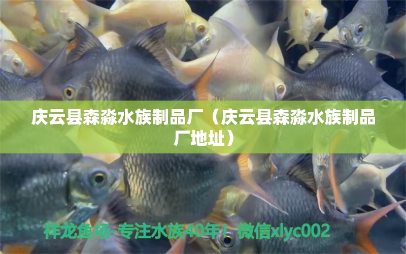 慶云縣森淼水族制品廠（慶云縣森淼水族制品廠地址）