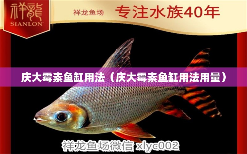 慶大霉素魚缸用法（慶大霉素魚缸用法用量）