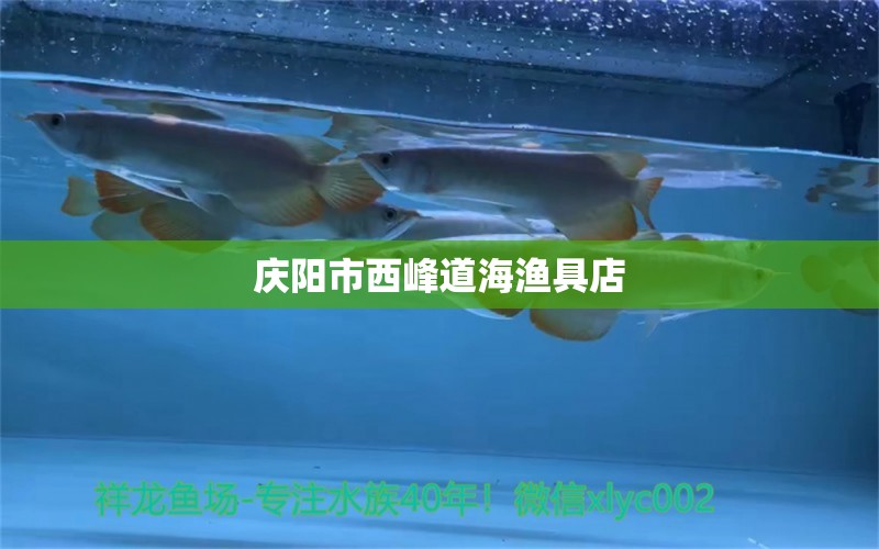 慶陽市西峰道海漁具店 全國水族館企業(yè)名錄