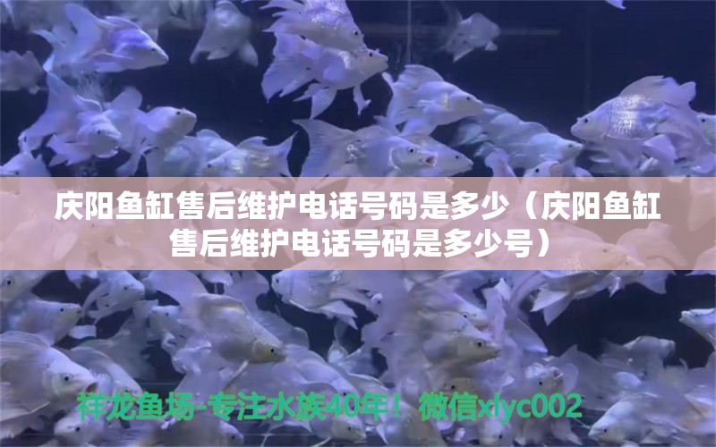 慶陽魚缸售后維護電話號碼是多少（慶陽魚缸售后維護電話號碼是多少號） 其他品牌魚缸