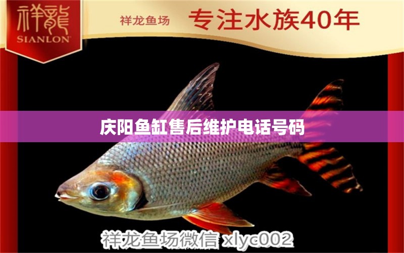 慶陽魚缸售后維護(hù)電話號(hào)碼 其他品牌魚缸