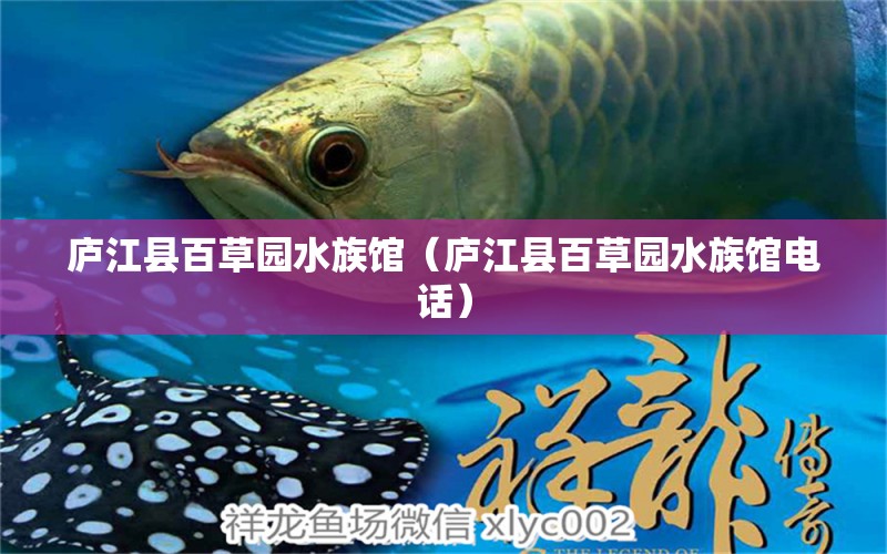 廬江縣百草園水族館（廬江縣百草園水族館電話）