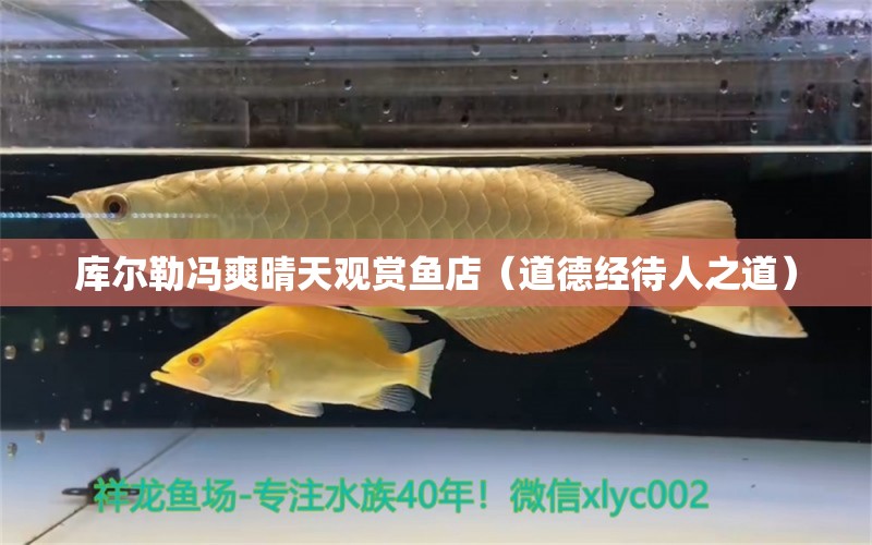 庫爾勒馮爽晴天觀賞魚店（道德經(jīng)待人之道）