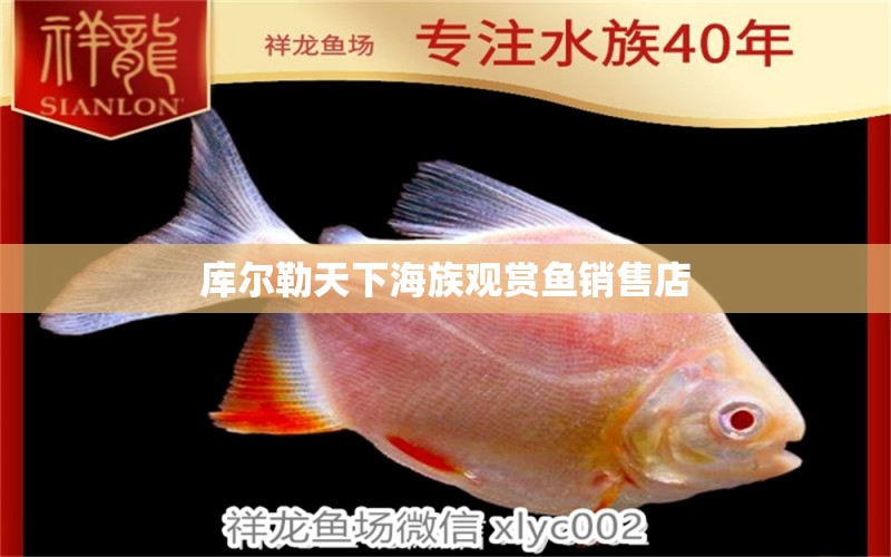 庫爾勒天下海族觀賞魚銷售店 全國水族館企業(yè)名錄