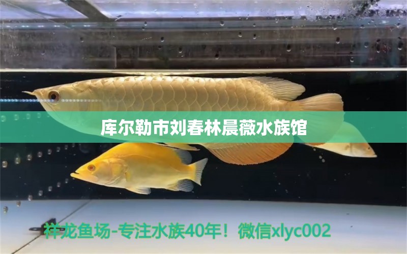 庫爾勒市劉春林晨薇水族館