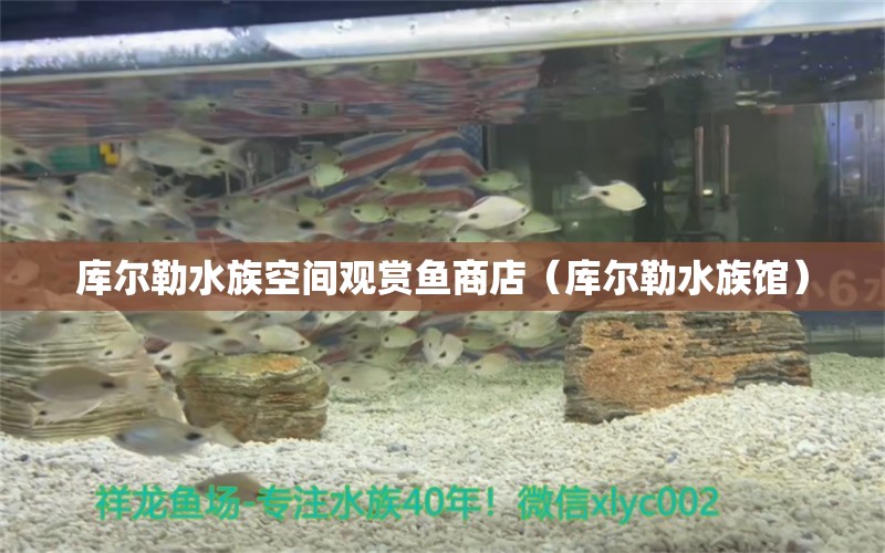 庫爾勒水族空間觀賞魚商店（庫爾勒水族館）