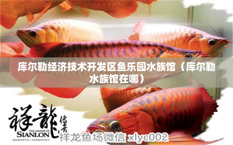 庫(kù)爾勒經(jīng)濟(jì)技術(shù)開(kāi)發(fā)區(qū)魚(yú)樂(lè)園水族館（庫(kù)爾勒水族館在哪）