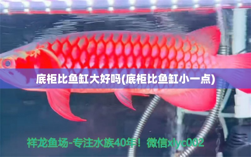 底柜比魚缸大好嗎(底柜比魚缸小一點) 雪龍魚