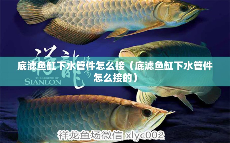 底濾魚(yú)缸下水管件怎么接（底濾魚(yú)缸下水管件怎么接的） 祥龍魚(yú)場(chǎng)