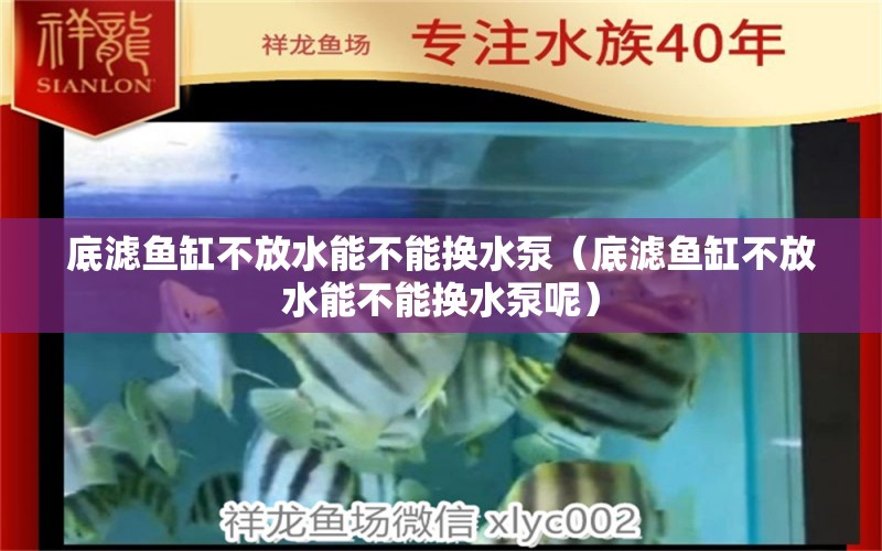 底濾魚缸不放水能不能換水泵（底濾魚缸不放水能不能換水泵呢）