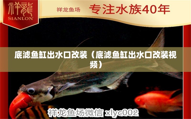 底濾魚(yú)缸出水口改裝（底濾魚(yú)缸出水口改裝視頻） 祥龍水族醫(yī)院