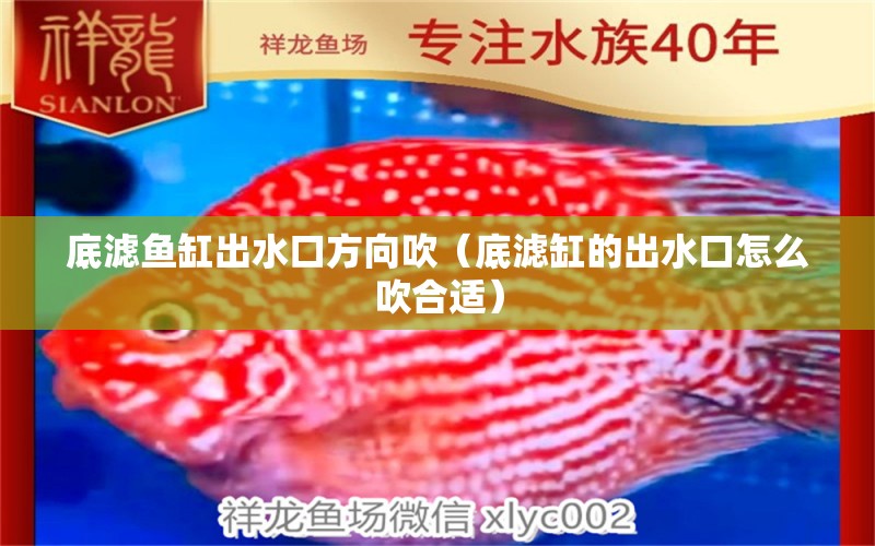 底濾魚缸出水口方向吹（底濾缸的出水口怎么吹合適） 觀賞魚市場（混養(yǎng)魚）