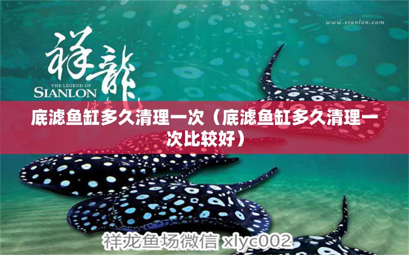 底濾魚缸多久清理一次（底濾魚缸多久清理一次比較好） 白寫錦鯉魚