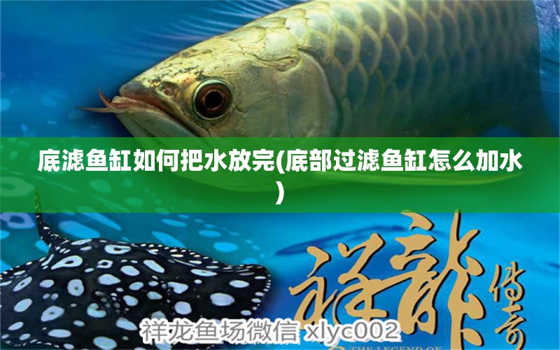 底濾魚缸如何把水放完(底部過濾魚缸怎么加水) 古典過背金龍魚