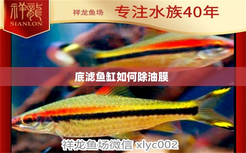 底濾魚缸如何除油膜 