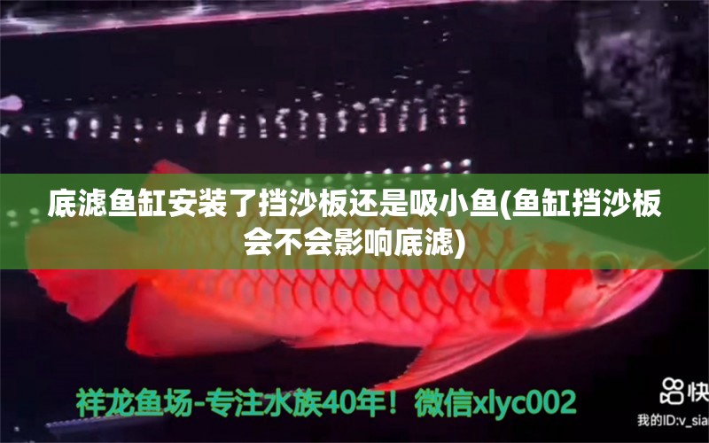 底濾魚缸安裝了擋沙板還是吸小魚(魚缸擋沙板會不會影響底濾) 養(yǎng)魚知識