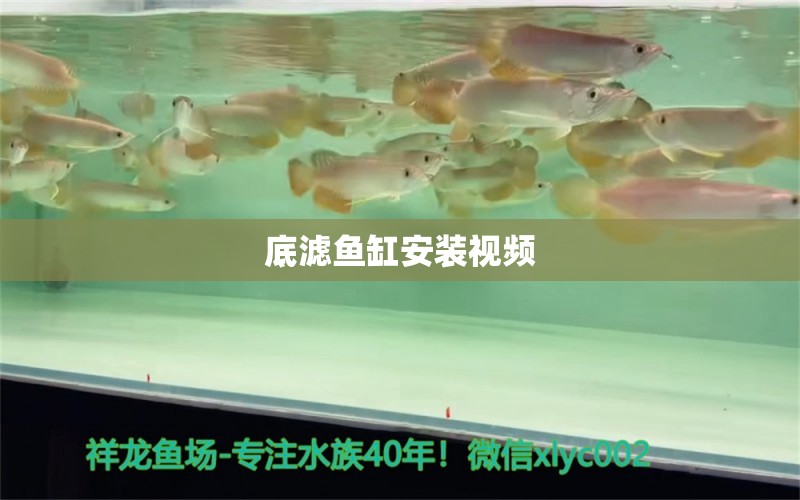 底濾魚(yú)缸安裝視頻