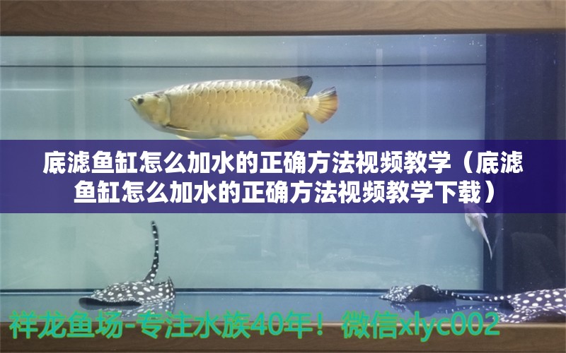 底濾魚(yú)缸怎么加水的正確方法視頻教學(xué)（底濾魚(yú)缸怎么加水的正確方法視頻教學(xué)下載） 觀賞魚(yú)市場(chǎng)（混養(yǎng)魚(yú)）