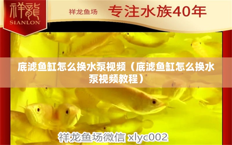 底濾魚(yú)缸怎么換水泵視頻（底濾魚(yú)缸怎么換水泵視頻教程）