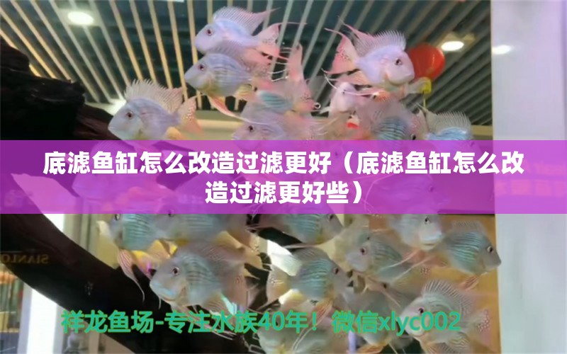 底濾魚缸怎么改造過濾更好（底濾魚缸怎么改造過濾更好些）