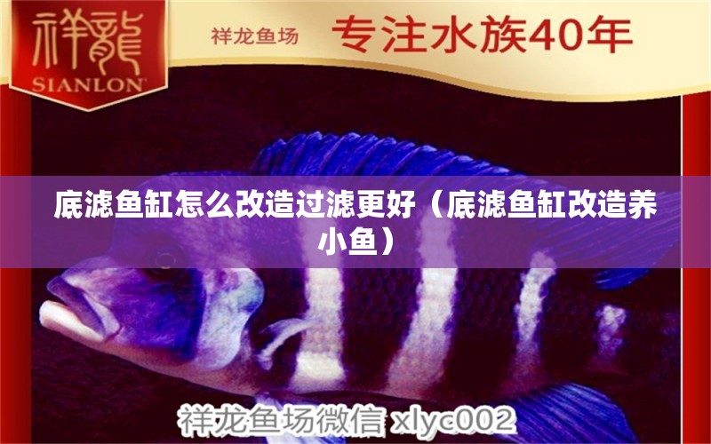 底濾魚缸怎么改造過濾更好（底濾魚缸改造養(yǎng)小魚）