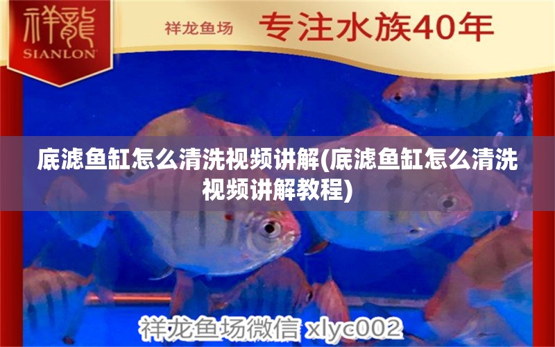 底濾魚缸怎么清洗視頻講解(底濾魚缸怎么清洗視頻講解教程) 斑馬鴨嘴魚 第1張