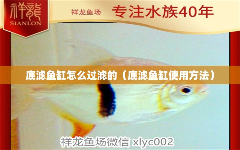 底濾魚缸怎么過濾的（底濾魚缸使用方法）