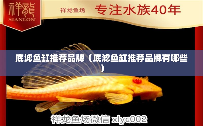 底濾魚缸推薦品牌（底濾魚缸推薦品牌有哪些） 祥龍水族醫(yī)院