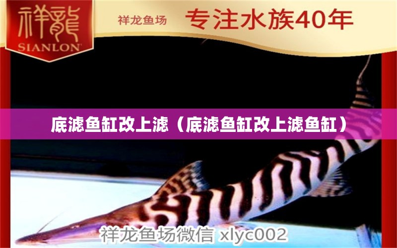 底濾魚(yú)缸改上濾（底濾魚(yú)缸改上濾魚(yú)缸）