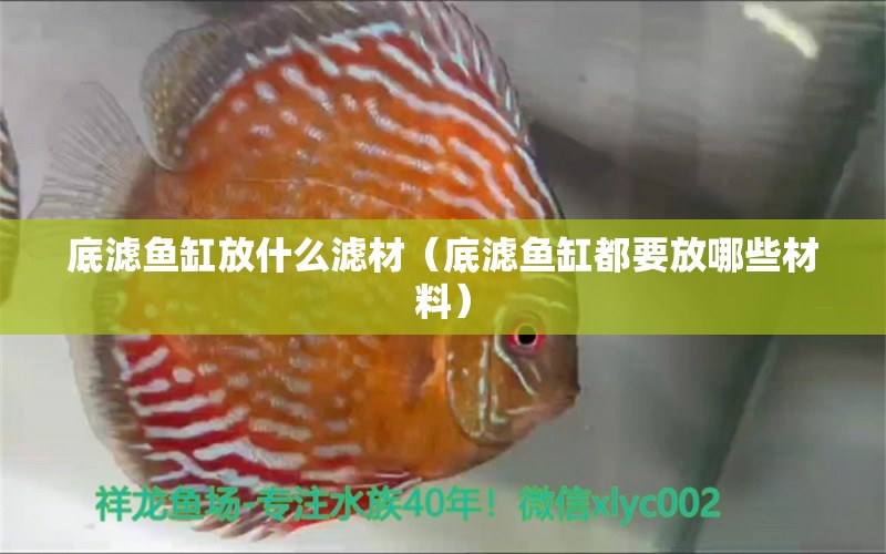 底濾魚缸放什么濾材（底濾魚缸都要放哪些材料） 廣州觀賞魚批發(fā)市場