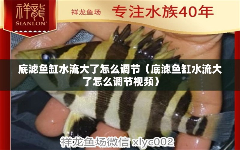 底濾魚(yú)缸水流大了怎么調(diào)節(jié)（底濾魚(yú)缸水流大了怎么調(diào)節(jié)視頻） 觀賞魚(yú)市場(chǎng)（混養(yǎng)魚(yú)）