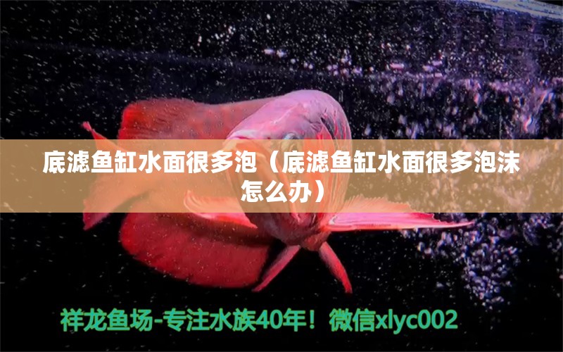 底濾魚缸水面很多泡（底濾魚缸水面很多泡沫怎么辦）