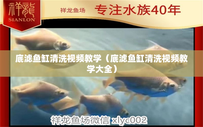 底濾魚缸清洗視頻教學（底濾魚缸清洗視頻教學大全） 觀賞魚市場（混養(yǎng)魚）