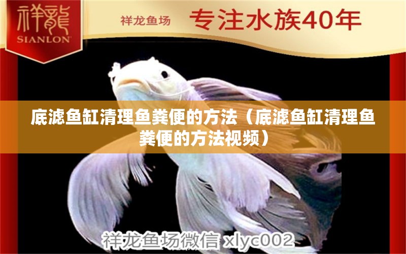 底濾魚(yú)缸清理魚(yú)糞便的方法（底濾魚(yú)缸清理魚(yú)糞便的方法視頻） 其他品牌魚(yú)缸