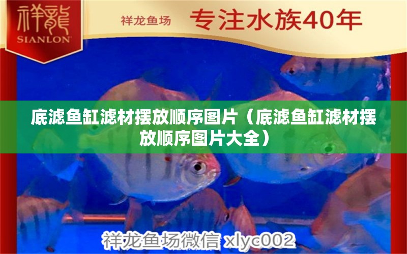 底濾魚缸濾材擺放順序圖片（底濾魚缸濾材擺放順序圖片大全） 廣州觀賞魚批發(fā)市場