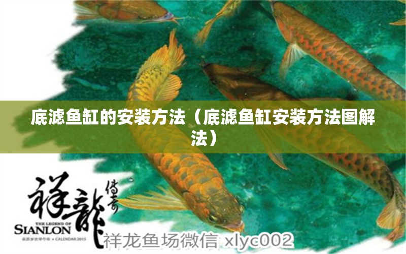 底濾魚缸的安裝方法（底濾魚缸安裝方法圖解法）