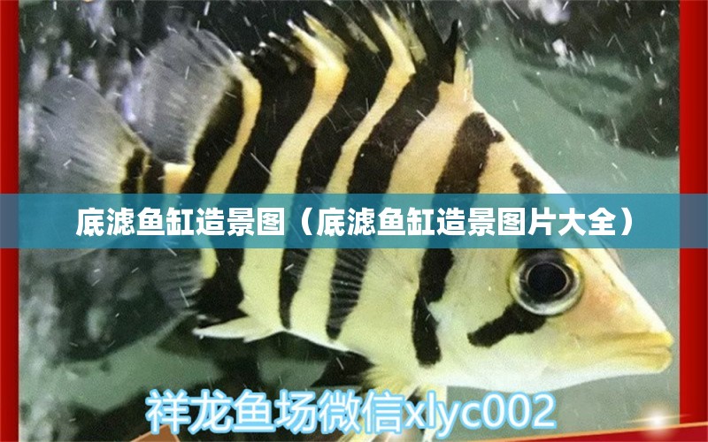 底濾魚缸造景圖（底濾魚缸造景圖片大全）