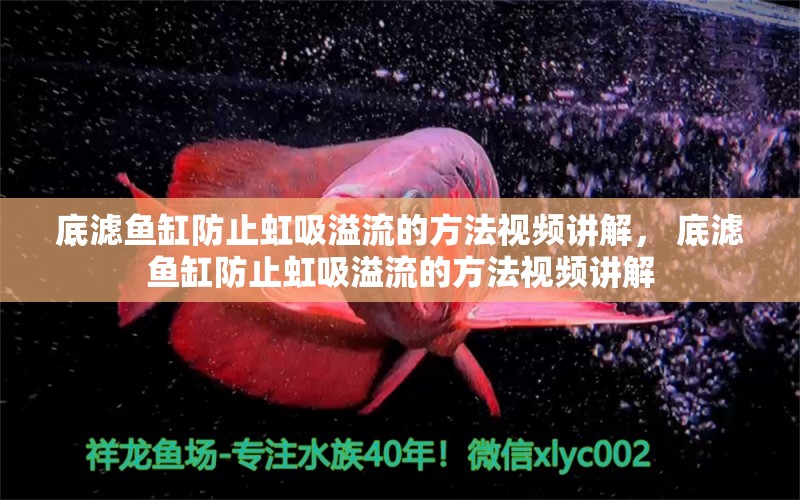 底濾魚缸防止虹吸溢流的方法視頻講解， 底濾魚缸防止虹吸溢流的方法視頻講解