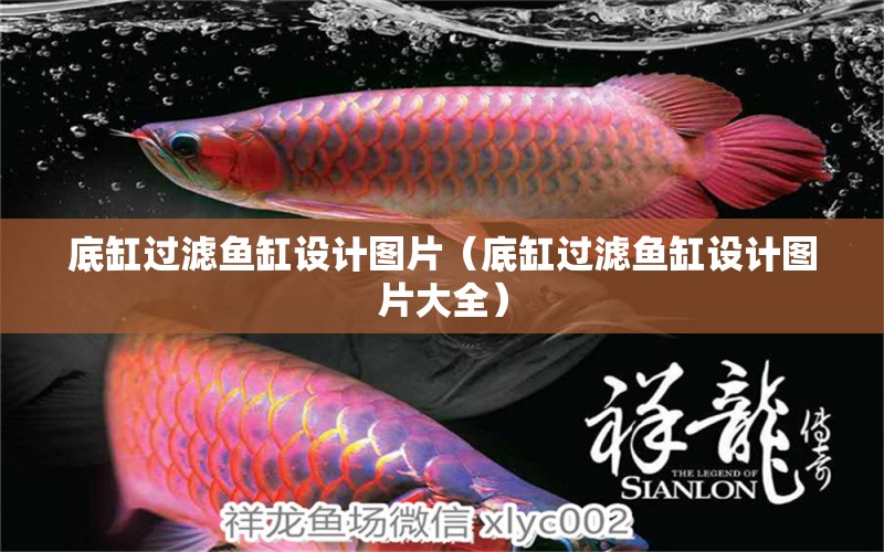 底缸過濾魚缸設(shè)計圖片（底缸過濾魚缸設(shè)計圖片大全）