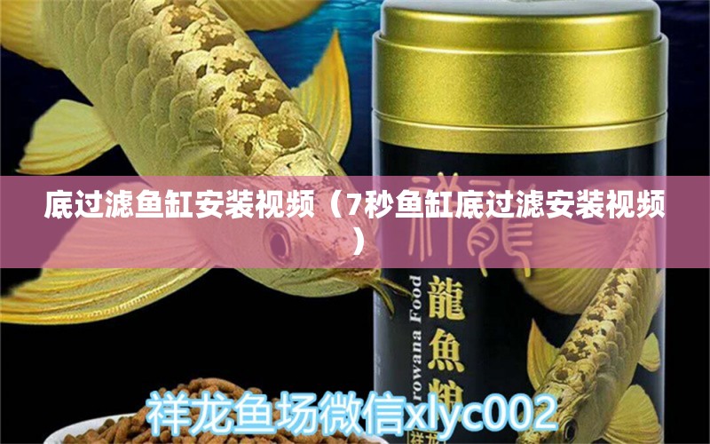 底過濾魚缸安裝視頻（7秒魚缸底過濾安裝視頻）