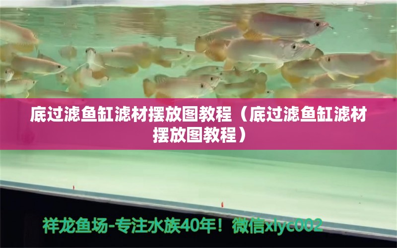 底過濾魚缸濾材擺放圖教程（底過濾魚缸濾材擺放圖教程） 觀賞魚市場（混養(yǎng)魚）