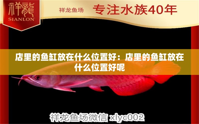 店里的魚缸放在什么位置好：店里的魚缸放在什么位置好呢