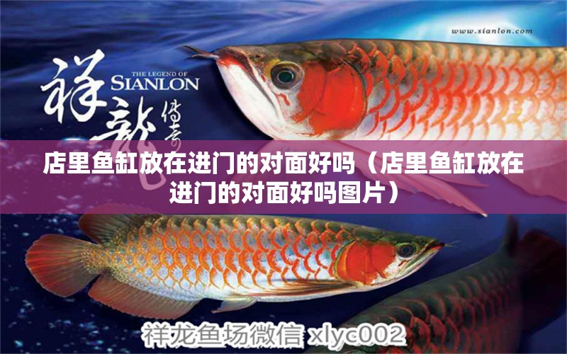 店里魚缸放在進門的對面好嗎（店里魚缸放在進門的對面好嗎圖片） 觀賞魚市場（混養(yǎng)魚）