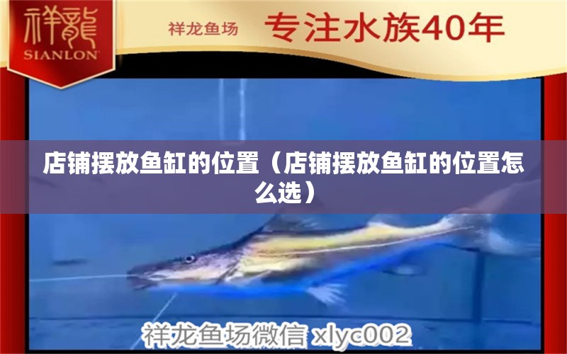 店鋪擺放魚(yú)缸的位置（店鋪擺放魚(yú)缸的位置怎么選）