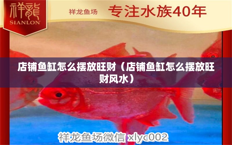 店鋪魚缸怎么擺放旺財(cái)（店鋪魚缸怎么擺放旺財(cái)風(fēng)水）