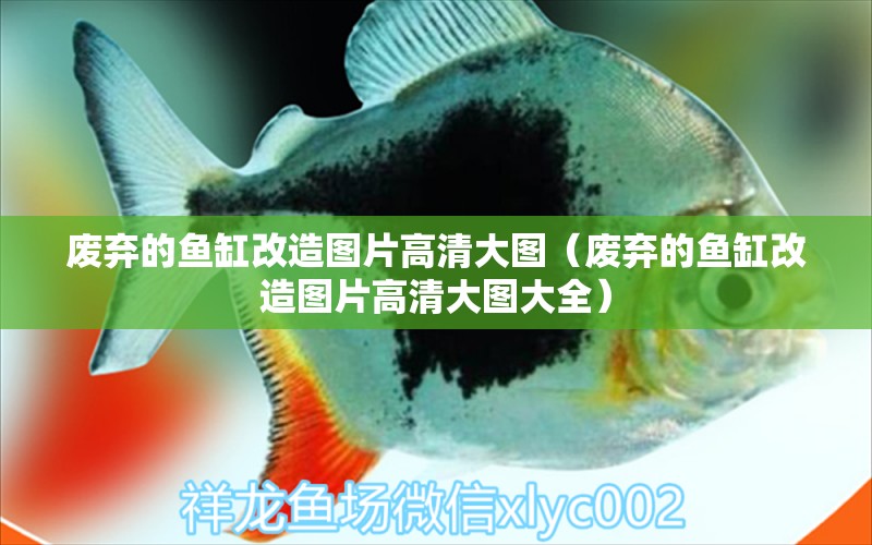 廢棄的魚缸改造圖片高清大圖（廢棄的魚缸改造圖片高清大圖大全） 孵化器