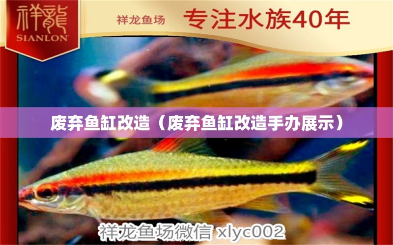 廢棄魚缸改造（廢棄魚缸改造手辦展示）